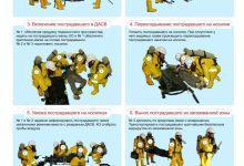 Photo of Стратегии укрепления привязанности