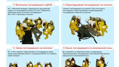 Photo of Стратегии укрепления привязанности