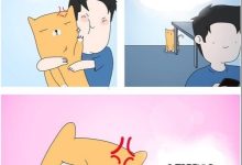 Photo of Как лучше поддерживать зависимого партнера