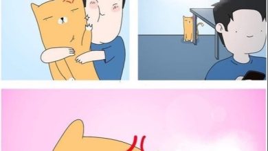 Photo of Как лучше поддерживать зависимого партнера