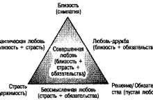 Photo of Страсть: источник близости и понимания