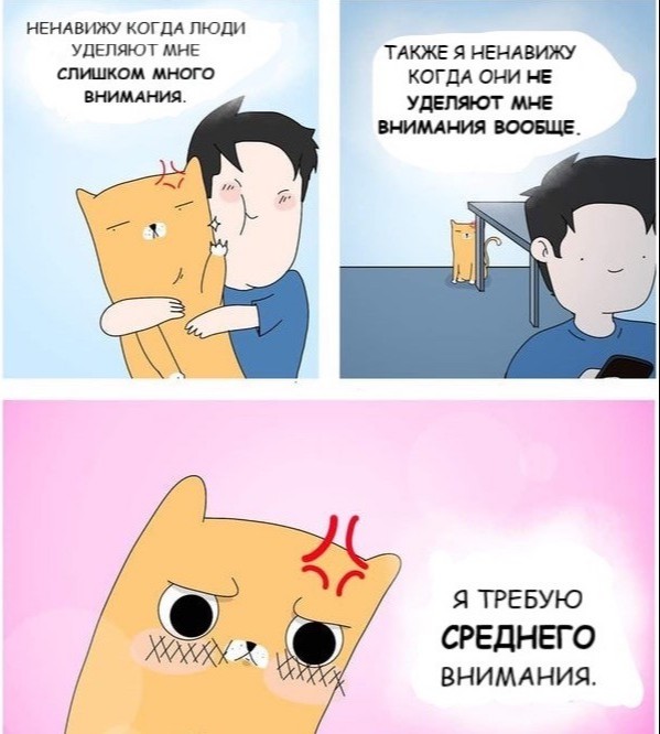 Фото 4 — Как лучше поддерживать зависимого партнера